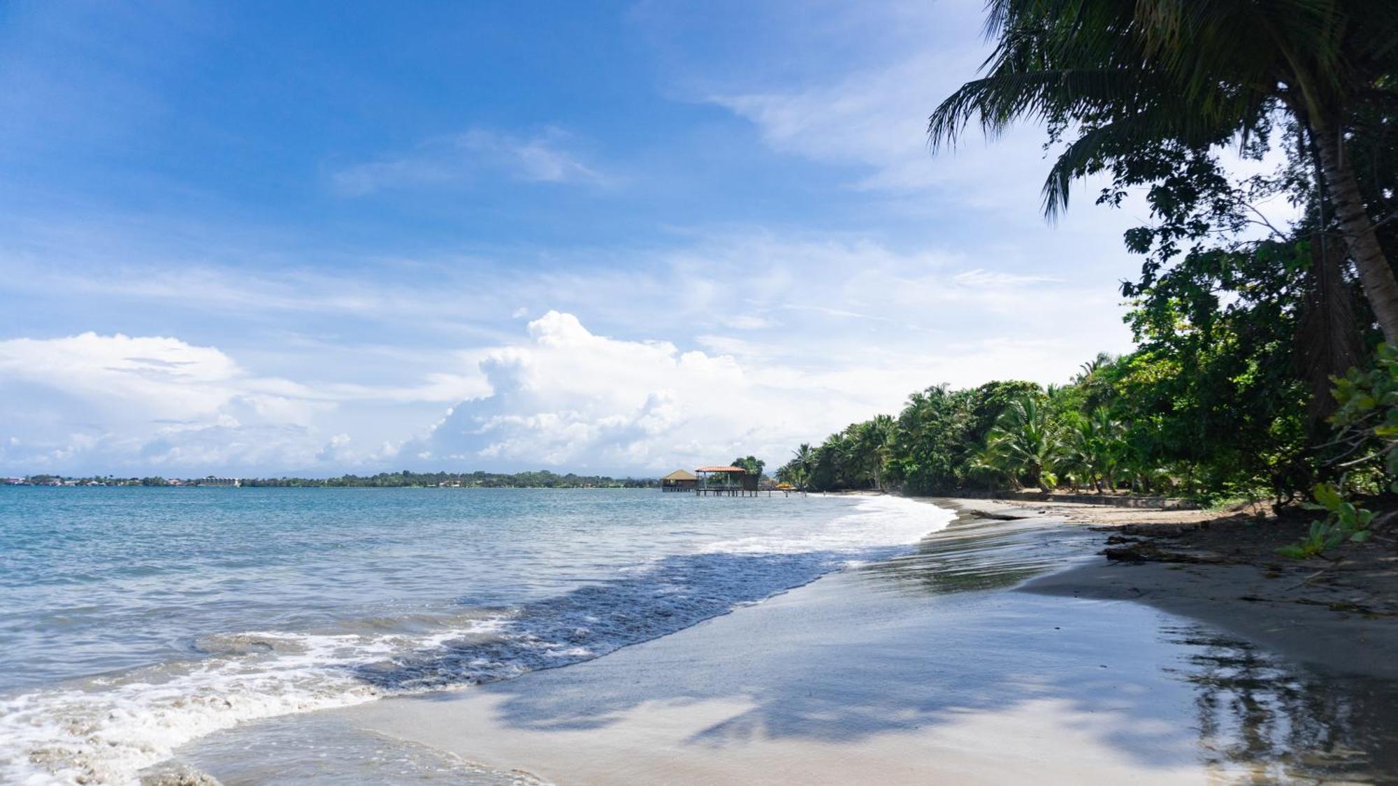 Bocas Garden Lodges Bocas del Toro Eksteriør bilde