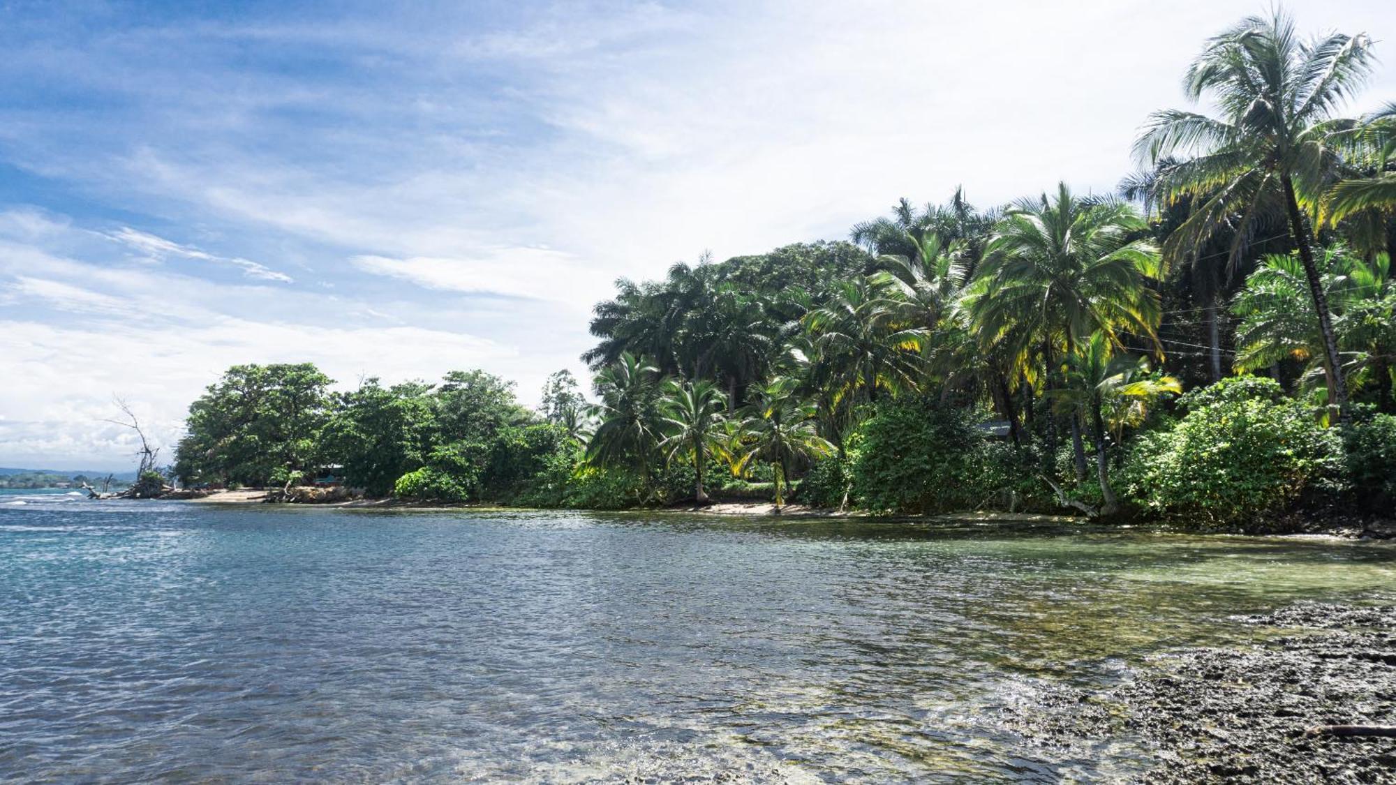 Bocas Garden Lodges Bocas del Toro Eksteriør bilde