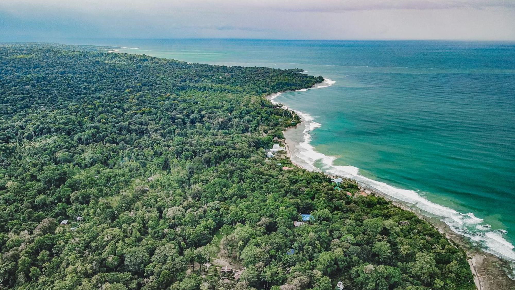 Bocas Garden Lodges Bocas del Toro Eksteriør bilde